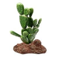 6b25d2bc24f17c9626b2912b4808579ea2613fe7