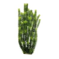 03cb81c5cb6f2656674edfeee9e7a0c3