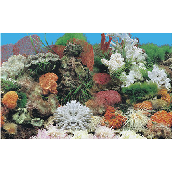 J01-J03-40(1) J01-J03-40(1)