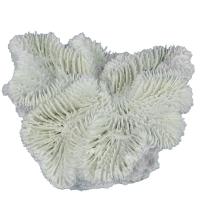 d43c208c3bc1221fdeef825d942d0d0e