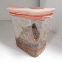 WhatsApp Image 2022-06-21 at 12.38.58 WhatsApp Image 2022-06-21 at 12.38.58