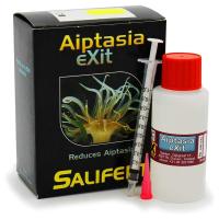 612brhxfgDL._AC_SL1000_ (1)