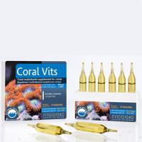 CoralVits6