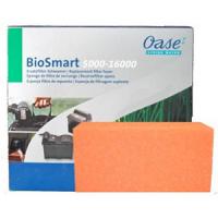 OaseBioSmart