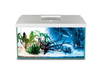 Аквариум прямоугольный Aquael LEDDY SET PLUS 60 DAY&NIGHT 2.0 54л 61х31х36см с оборудованием, белый
