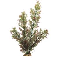 ce3e5634034b11e7a6660cc47a1387e7jpg