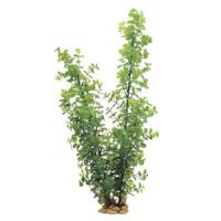 ce3e5631034b11e7a6660cc47a1387e7jpg