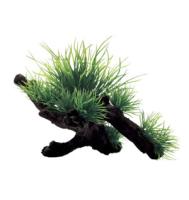 35bc770bf91111e6a6660cc47a1387e7jpg