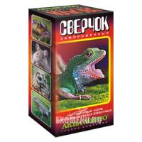 78-00005732 78-00005732