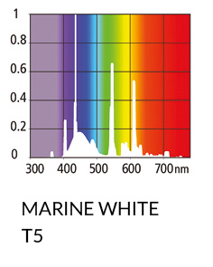colour-charts-marine-white-t5 colour-charts-marine-white-t5
