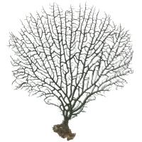 SE000005723 SE000005723