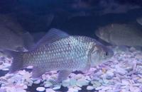 nyna11prv76k7ps0xrkt0xiji1w5bhtd nyna11prv76k7ps0xrkt0xiji1w5bhtd