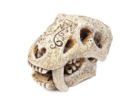 Грот Laguna "Череп саблезубого тигра"