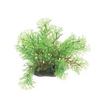 0f5b0bdaf91311e6a6660cc47a1387e7jpg