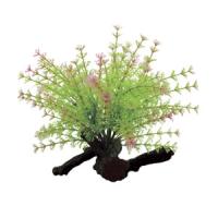 35bc7704f91111e6a6660cc47a1387e7jpg