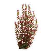 8e8300e61e7f243cbbea484bf6862d00