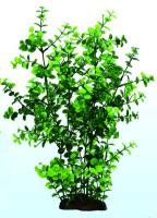 0bc5b4a5c74a285cc28fb0fe6bae58e5