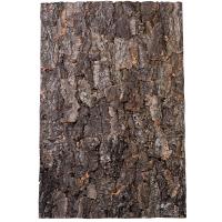 3db17fdb6f841be7b9981304565de57c