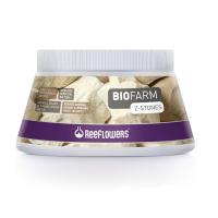 coralclub-reeflowers-bio-farm-z-stones