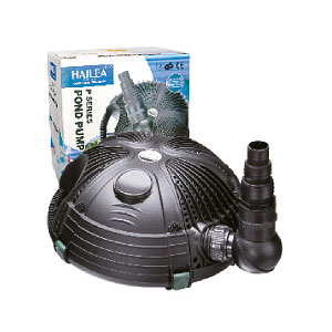 HaileaP8000727500h25