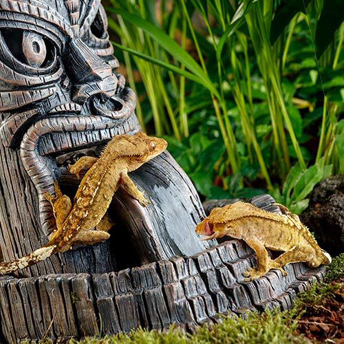 vodopad-s-duhom-tiki-exo-terra-tiki-totem-waterfall-small-pt3155-v-ispolzovanii