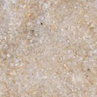 CaribSeaCristalRiver0519