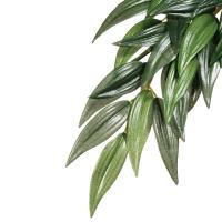 PT3031-3041-3051_Rucus