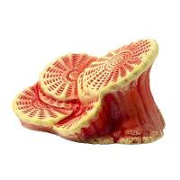 К-24к Актиния большая для черепах красная