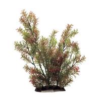 35bc76f1f91111e6a6660cc47a1387e7jpg