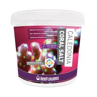 caledonia-coral-salt-7kg