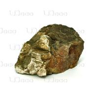 UDecoFossilizedwoodstone