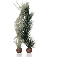 71Svmy4iHhL._SL1200_