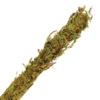 a39f1581b7fb794e7ca0738e29f6c484173c6ff0