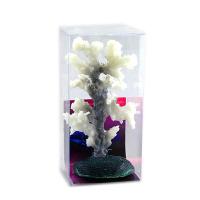 AM311074-GR AM311074-GR