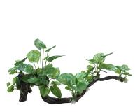 bdaaaf93a31fc6ae08b9623144af7951