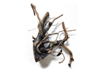 Декорация природная PRIME Коряга Черное дерево L 30-40 см