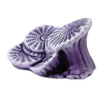 К-24ф Актиния для черепах большая фиолетовая