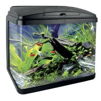 1c1c2ba64f9b66adaa8c9c5dc756a71a7e82a782