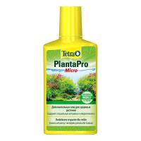 Tet-297401-1000x1000