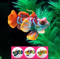 HTB1X89fXVT7gK0jSZFpq6yTkpXaM