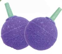 SE000004884 SE000004884