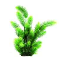 0f5b0bd7f91311e6a6660cc47a1387e7jpg