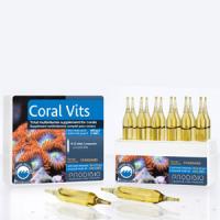 CoralVits12