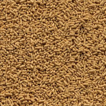 655b2337-52f8-4c85-aae0-271978904e1d