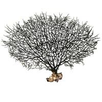 00002665 НоменклатураПрисоединенныеФайлы 00002665 НоменклатураПрисоединенныеФайлы