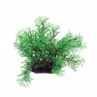 0f5b0bdbf91311e6a6660cc47a1387e7jpg