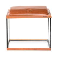 991547_STDP60grusha_1