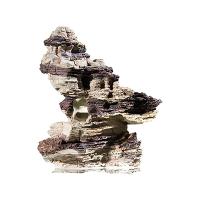 710v1IJ4ikL._AC_SY450_