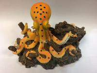 049d867288a300988929881fe5568da0