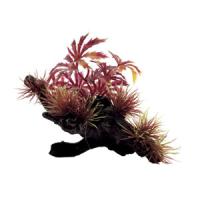 35bc7709f91111e6a6660cc47a1387e7jpg